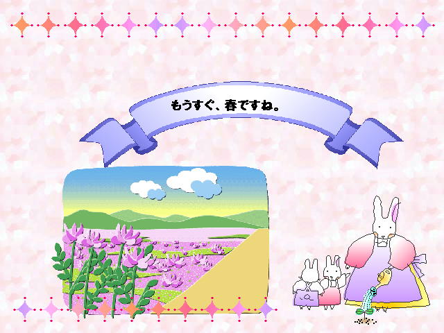11�y�[�W
