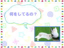 4 �y�[�W