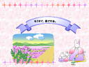 11 �y�[�W