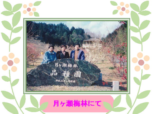 5�y�[�W