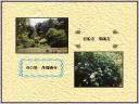 4 �y�[�W