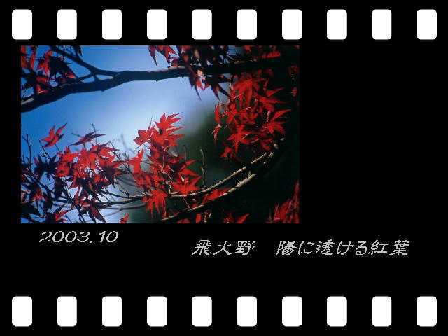 5�y�[�W