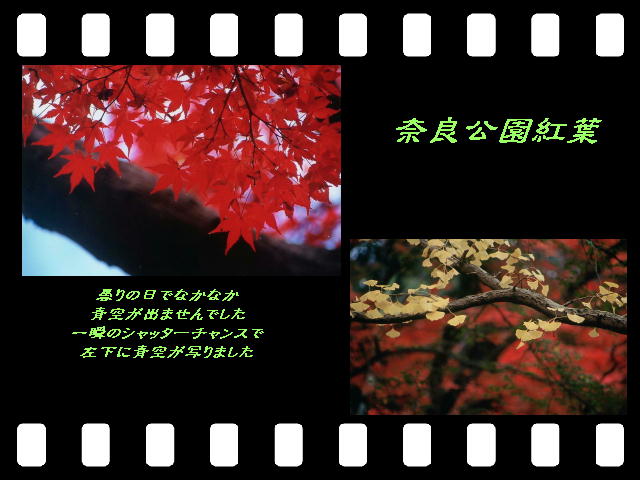 6�y�[�W