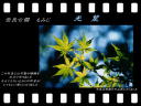 8 �y�[�W