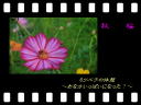 11 �y�[�W