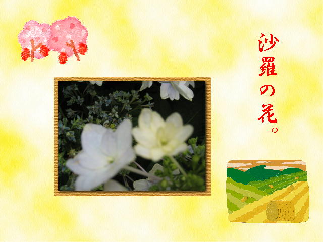 7�y�[�W