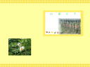 3 �y�[�W