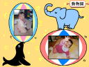 4 �y�[�W