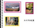 4 �y�[�W