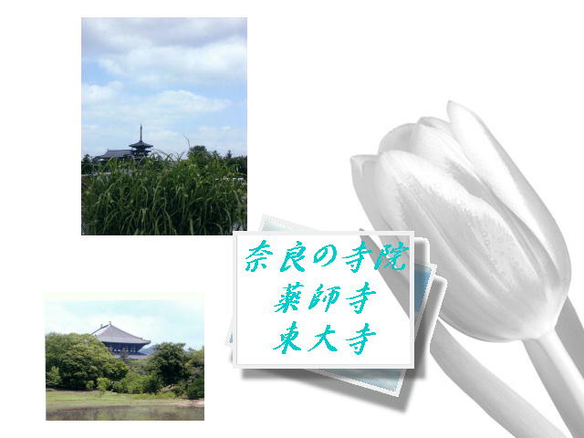 6�y�[�W