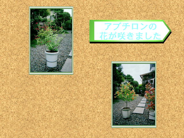 2�y�[�W