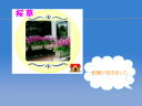 3 �y�[�W
