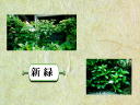 4 �y�[�W