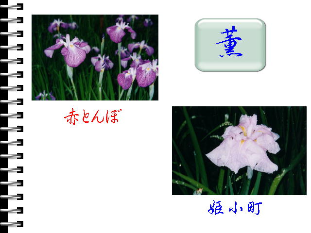 5�y�[�W