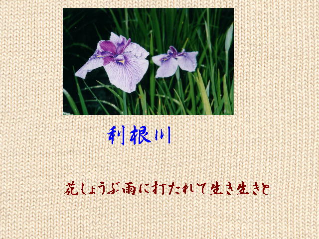 7�y�[�W