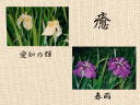 4 �y�[�W