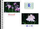 5 �y�[�W