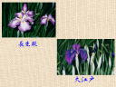 6 �y�[�W