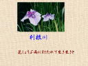 7 �y�[�W