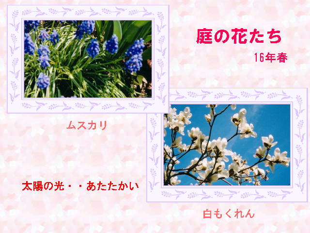 2�y�[�W