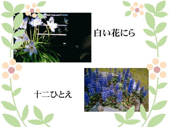 4�y�[�W