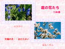 2 �y�[�W