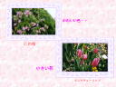3 �y�[�W