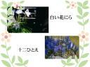 4 �y�[�W
