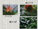 5 �y�[�W