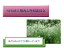 1 �y�[�W