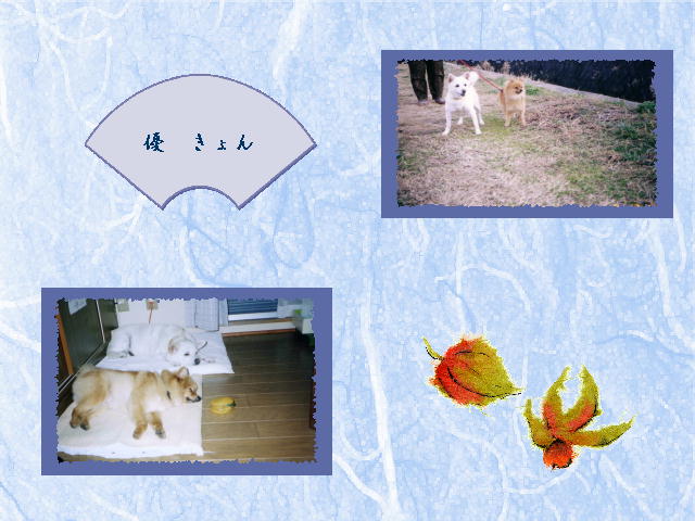 2�y�[�W