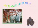 3 �y�[�W