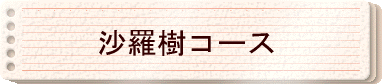 �������R�[�X