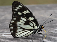 �S�}�_���`���E