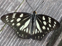 �S�}�_���`���E