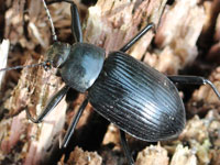 �S�~���V�_�}�V�}��