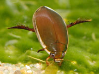 �Q���S���E�E�~�Y�X�}�V�}��