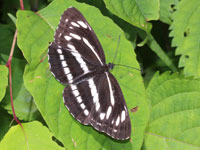 �~�X�W�`���E