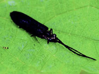 �i�K�q�^�����V��