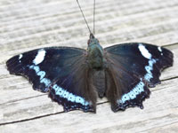 �����^�e�n