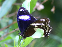 �����E�L���E�����T�L