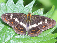 �T�J�n�`�`���E