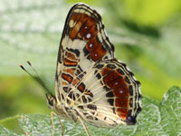 �T�J�n�`�`���E