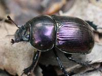 �����}��